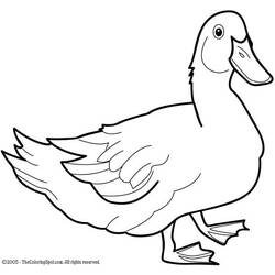 Dibujo para colorear: Pato (Animales) #1490 - Dibujos para Colorear e Imprimir Gratis