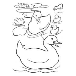 Dibujo para colorear: Pato (Animales) #1494 - Dibujos para Colorear e Imprimir Gratis