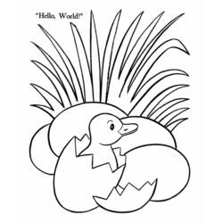 Dibujo para colorear: Pato (Animales) #1495 - Dibujos para Colorear e Imprimir Gratis