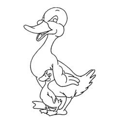 Dibujo para colorear: Pato (Animales) #1510 - Dibujos para Colorear e Imprimir Gratis