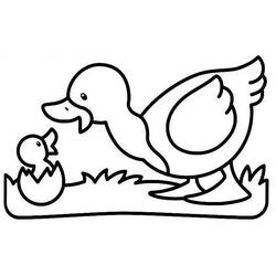Dibujo para colorear: Pato (Animales) #1516 - Dibujos para Colorear e Imprimir Gratis