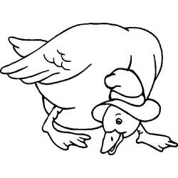 Dibujo para colorear: Pato (Animales) #1539 - Dibujos para Colorear e Imprimir Gratis