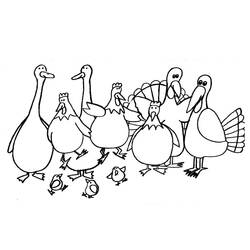 Dibujo para colorear: Pavo (Animales) #5411 - Dibujos para Colorear e Imprimir Gratis
