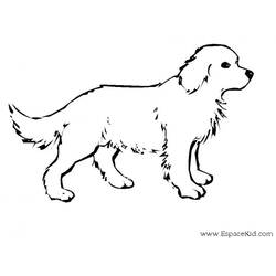 Dibujo para colorear: Perro (Animales) #14 - Dibujos para Colorear e Imprimir Gratis