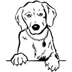 Dibujo para colorear: Perro (Animales) #18 - Dibujos para Colorear e Imprimir Gratis
