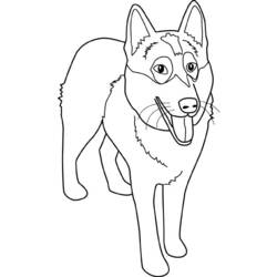 Dibujo para colorear: Perro (Animales) #30 - Dibujos para Colorear e Imprimir Gratis