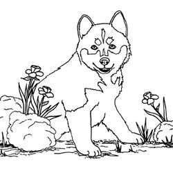 Dibujo para colorear: Perro (Animales) #61 - Dibujos para Colorear e Imprimir Gratis