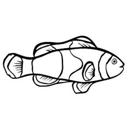 Dibujo para colorear: Pescado (Animales) #17021 - Dibujos para Colorear e Imprimir Gratis