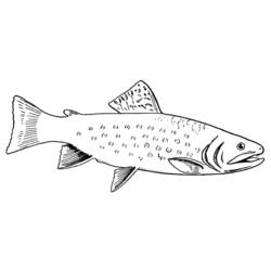 Dibujo para colorear: Pescado (Animales) #17136 - Dibujos para Colorear e Imprimir Gratis