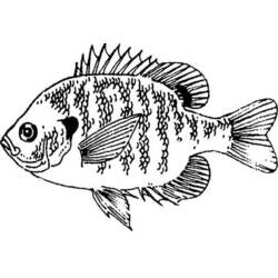 Dibujo para colorear: Pescado (Animales) #17148 - Dibujos para Colorear e Imprimir Gratis