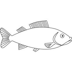 Dibujo para colorear: Pescado (Animales) #17171 - Dibujos para Colorear e Imprimir Gratis