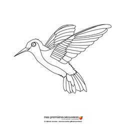 Dibujo para colorear: Picaflor (Animales) #3797 - Dibujos para Colorear e Imprimir Gratis