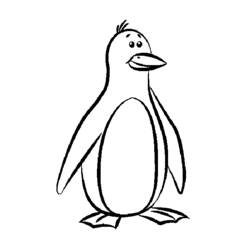 Dibujos para colorear: Pingüino - Dibujos para Colorear e Imprimir Gratis