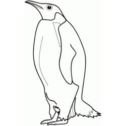 Dibujo para colorear: Pingüino (Animales) #16842 - Dibujos para Colorear e Imprimir Gratis