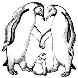 Dibujo para colorear: Pingüino (Animales) #16854 - Dibujos para Colorear e Imprimir Gratis