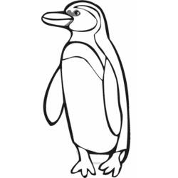 Dibujo para colorear: Pingüino (Animales) #16877 - Dibujos para Colorear e Imprimir Gratis