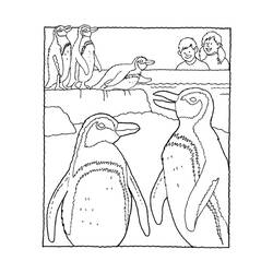 Dibujo para colorear: Pingüino (Animales) #16901 - Dibujos para Colorear e Imprimir Gratis