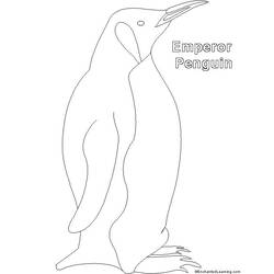 Dibujo para colorear: Pingüino (Animales) #16994 - Dibujos para Colorear e Imprimir Gratis
