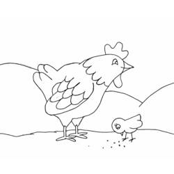 Dibujo para colorear: Pollo (Animales) #17222 - Dibujos para Colorear e Imprimir Gratis