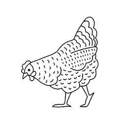 Dibujo para colorear: Pollo (Animales) #17228 - Dibujos para Colorear e Imprimir Gratis