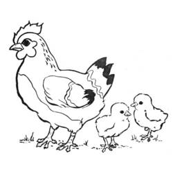 Dibujo para colorear: Pollo (Animales) #17229 - Dibujos para Colorear e Imprimir Gratis