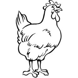 Dibujo para colorear: Pollo (Animales) #17262 - Dibujos para Colorear e Imprimir Gratis