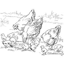 Dibujo para colorear: Pollo (Animales) #17265 - Dibujos para Colorear e Imprimir Gratis