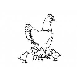 Dibujo para colorear: Pollo (Animales) #17281 - Dibujos para Colorear e Imprimir Gratis