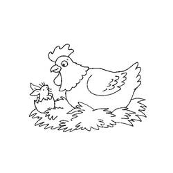 Dibujo para colorear: Pollo (Animales) #17295 - Dibujos para Colorear e Imprimir Gratis