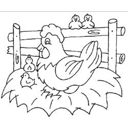 Dibujo para colorear: Pollo (Animales) #17325 - Dibujos para Colorear e Imprimir Gratis
