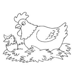 Dibujo para colorear: Pollo (Animales) #17350 - Dibujos para Colorear e Imprimir Gratis