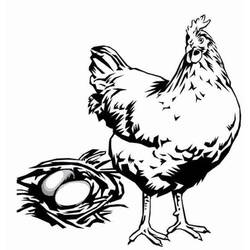 Dibujo para colorear: Pollo (Animales) #17368 - Dibujos para Colorear e Imprimir Gratis