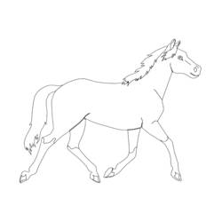 Dibujo para colorear: Poni (Animales) #17906 - Dibujos para Colorear e Imprimir Gratis