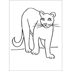 Dibujo para colorear: Puma (Animales) #4384 - Dibujos para Colorear e Imprimir Gratis