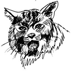 Dibujo para colorear: Puma (Animales) #4398 - Dibujos para Colorear e Imprimir Gratis