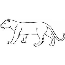 Dibujo para colorear: Puma (Animales) #4404 - Dibujos para Colorear e Imprimir Gratis