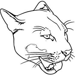Dibujo para colorear: Puma (Animales) #4415 - Dibujos para Colorear e Imprimir Gratis