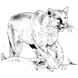 Dibujo para colorear: Puma (Animales) #4476 - Dibujos para Colorear e Imprimir Gratis