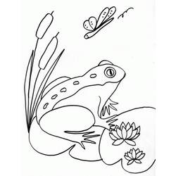 Dibujo para colorear: Rana (Animales) #7606 - Dibujos para Colorear e Imprimir Gratis