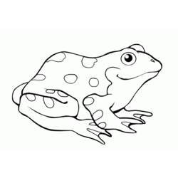 Dibujo para colorear: Rana (Animales) #7615 - Dibujos para Colorear e Imprimir Gratis