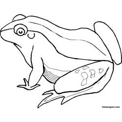 Dibujo para colorear: Rana (Animales) #7655 - Dibujos para Colorear e Imprimir Gratis