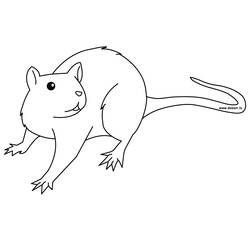 Dibujo para colorear: Rata (Animales) #15167 - Dibujos para Colorear e Imprimir Gratis