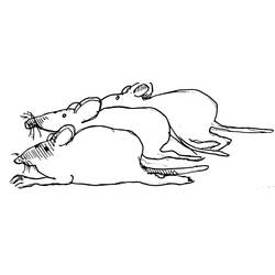 Dibujo para colorear: Rata (Animales) #15168 - Dibujos para Colorear e Imprimir Gratis
