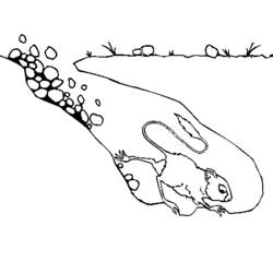 Dibujo para colorear: Rata (Animales) #15178 - Dibujos para Colorear e Imprimir Gratis