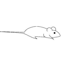 Dibujo para colorear: Rata (Animales) #15187 - Dibujos para Colorear e Imprimir Gratis