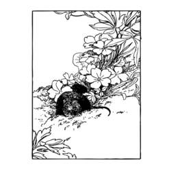 Dibujo para colorear: Rata (Animales) #15195 - Dibujos para Colorear e Imprimir Gratis
