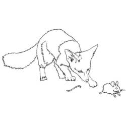 Dibujo para colorear: Rata (Animales) #15213 - Dibujos para Colorear e Imprimir Gratis