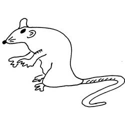 Dibujo para colorear: Rata (Animales) #15242 - Dibujos para Colorear e Imprimir Gratis