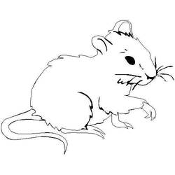 Dibujo para colorear: Rata (Animales) #15249 - Dibujos para Colorear e Imprimir Gratis