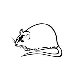 Dibujo para colorear: Rata (Animales) #15255 - Dibujos para Colorear e Imprimir Gratis